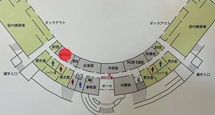 横浜薬大⚾スタジアム諸室のご案内です②