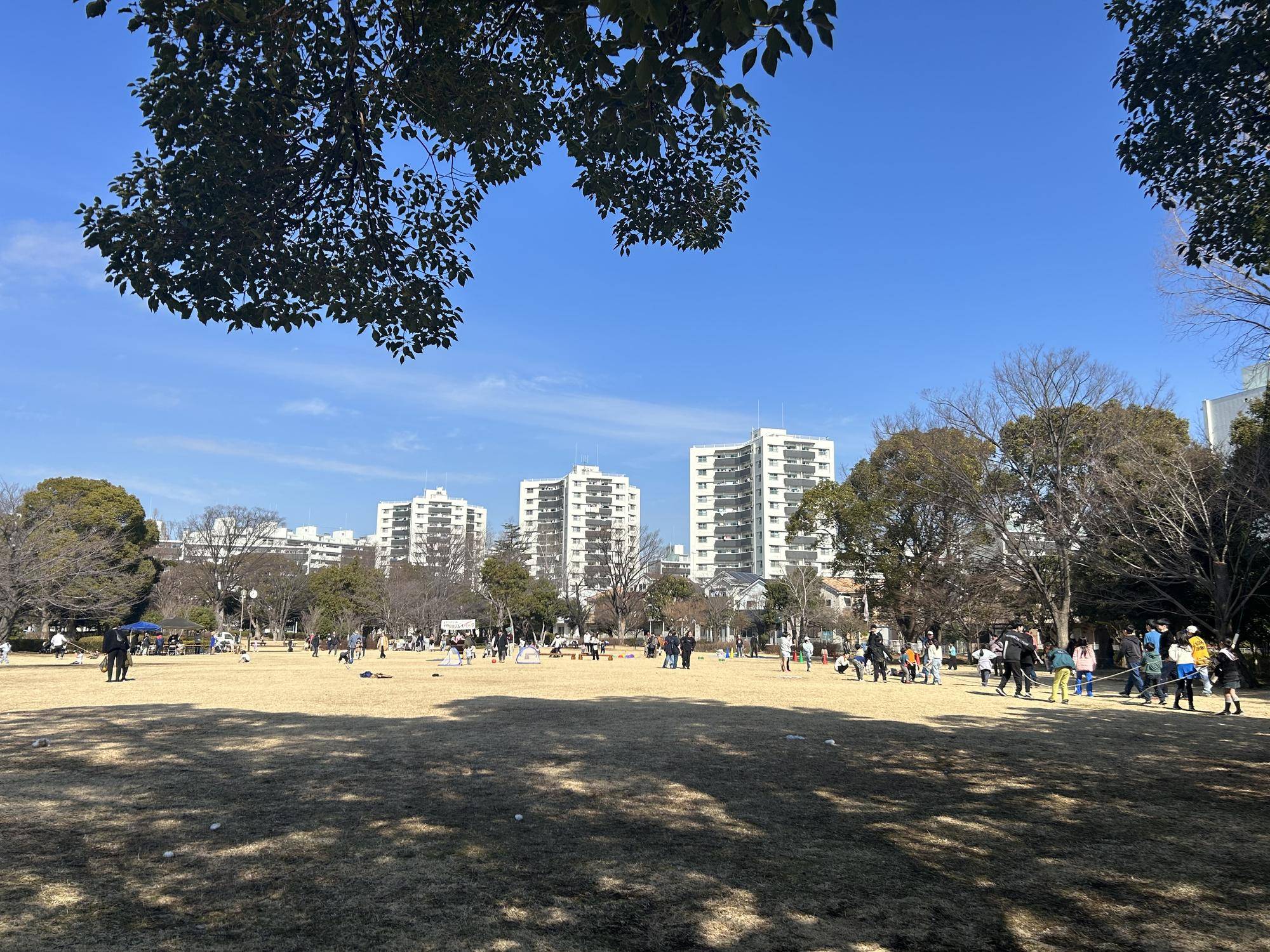 プレイパーク🌞ってなんだ？の写真