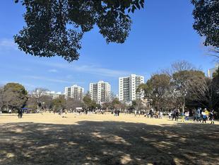 プレイパーク🌞ってなんだ？