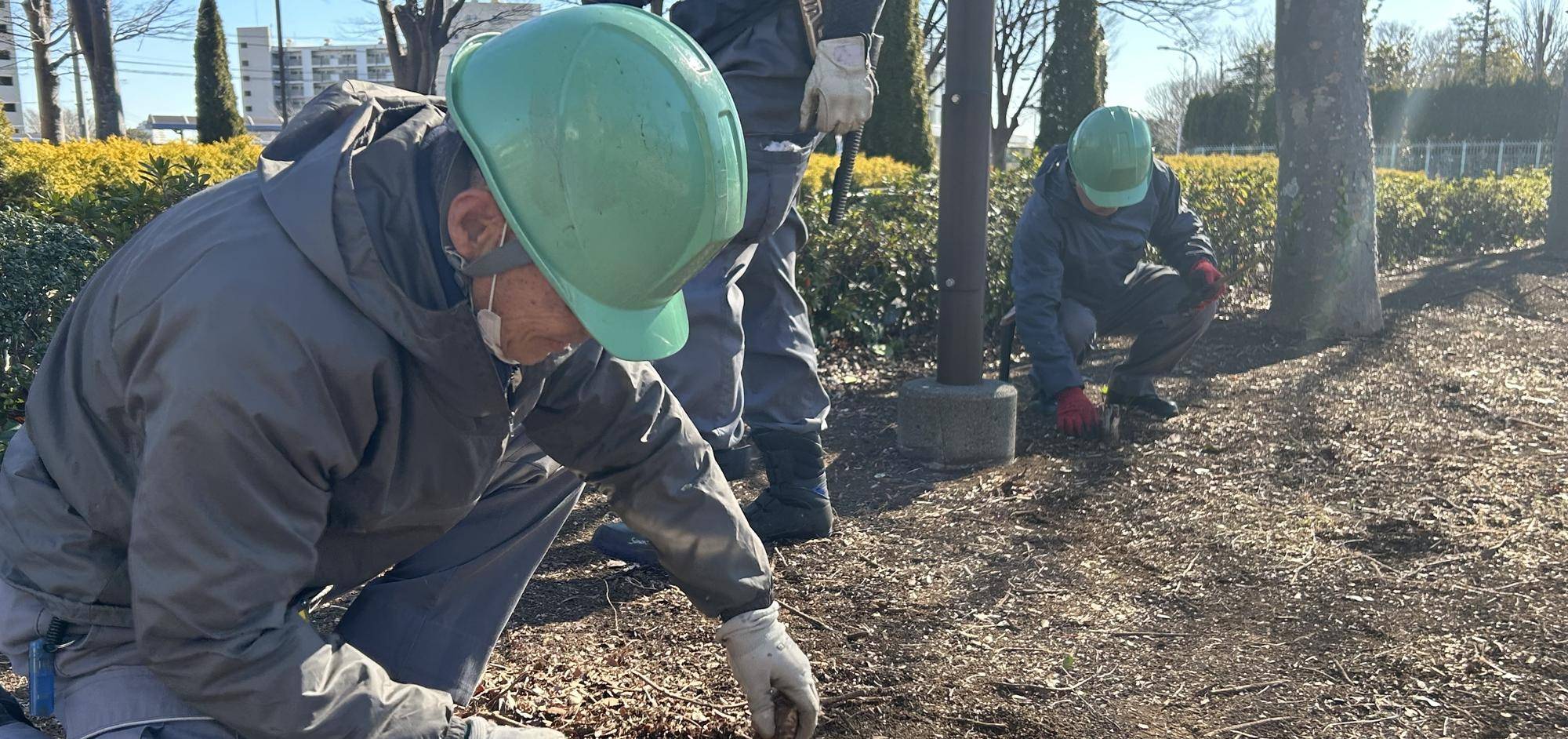 危険な切り株🌳の写真