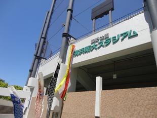 こいのぼりが気持ち良さそうに泳いでいます🎏