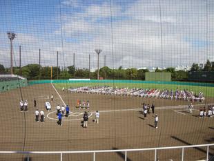 2024 横浜銀行カップ 神奈川県学童軟式野球選手権大会の開催