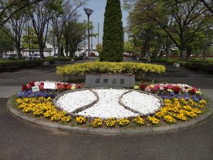 俣野公園の花や緑を現地でご覧ください。