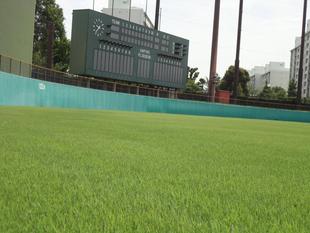 第107回全国高等学校野球選手権神奈川大会の開催について