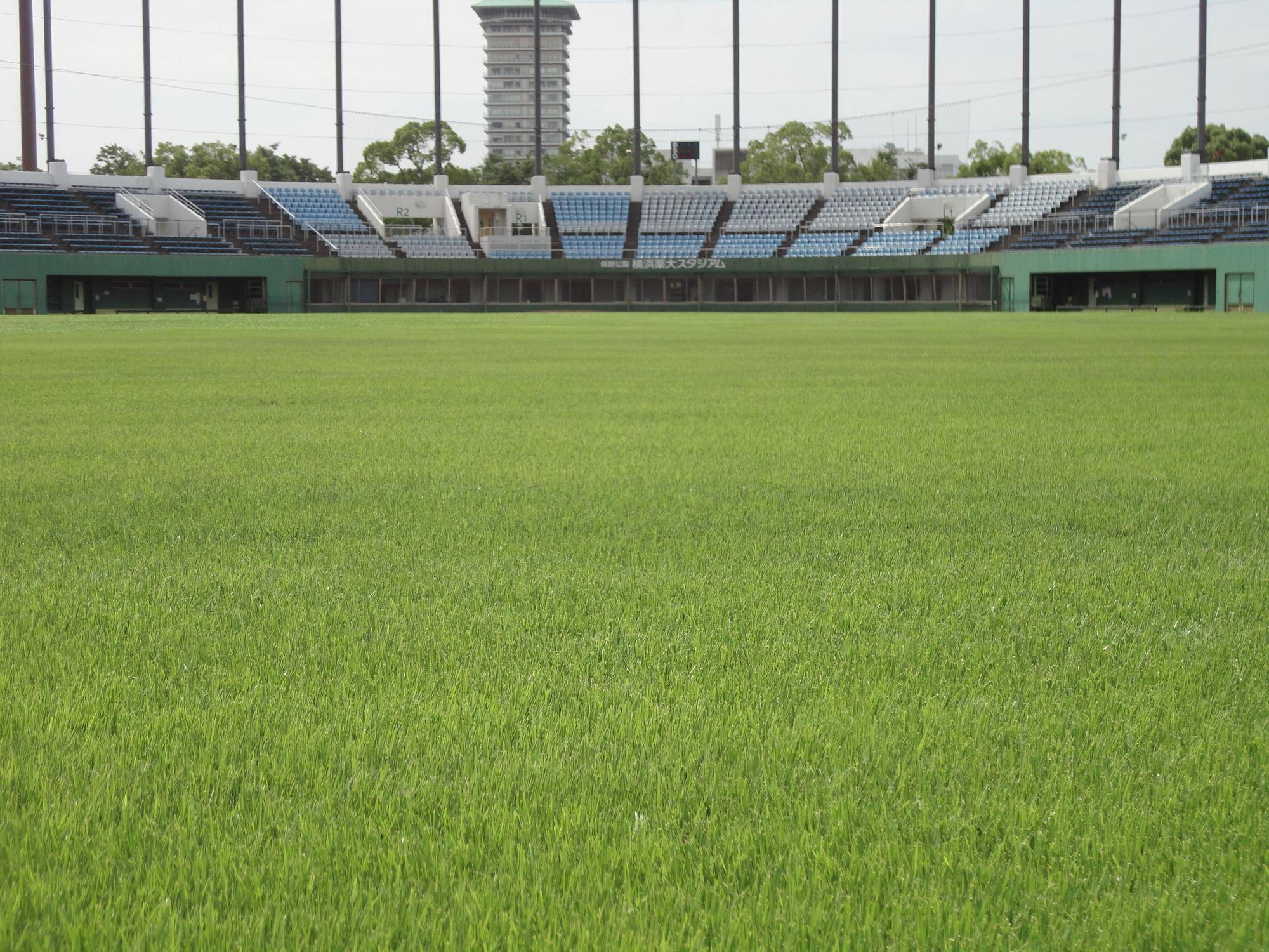 「俣野公園・横浜薬大スタジアム」グラウンド整備の完了についての写真