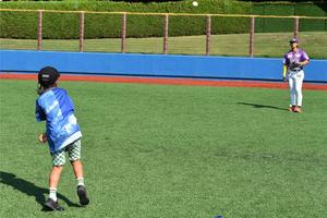  神奈川フューチャードリームス野球教室への参加者募集についての画像