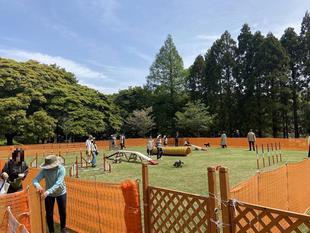 ドッグランを開催します。