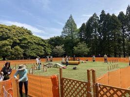 ドッグランを開催します。の画像