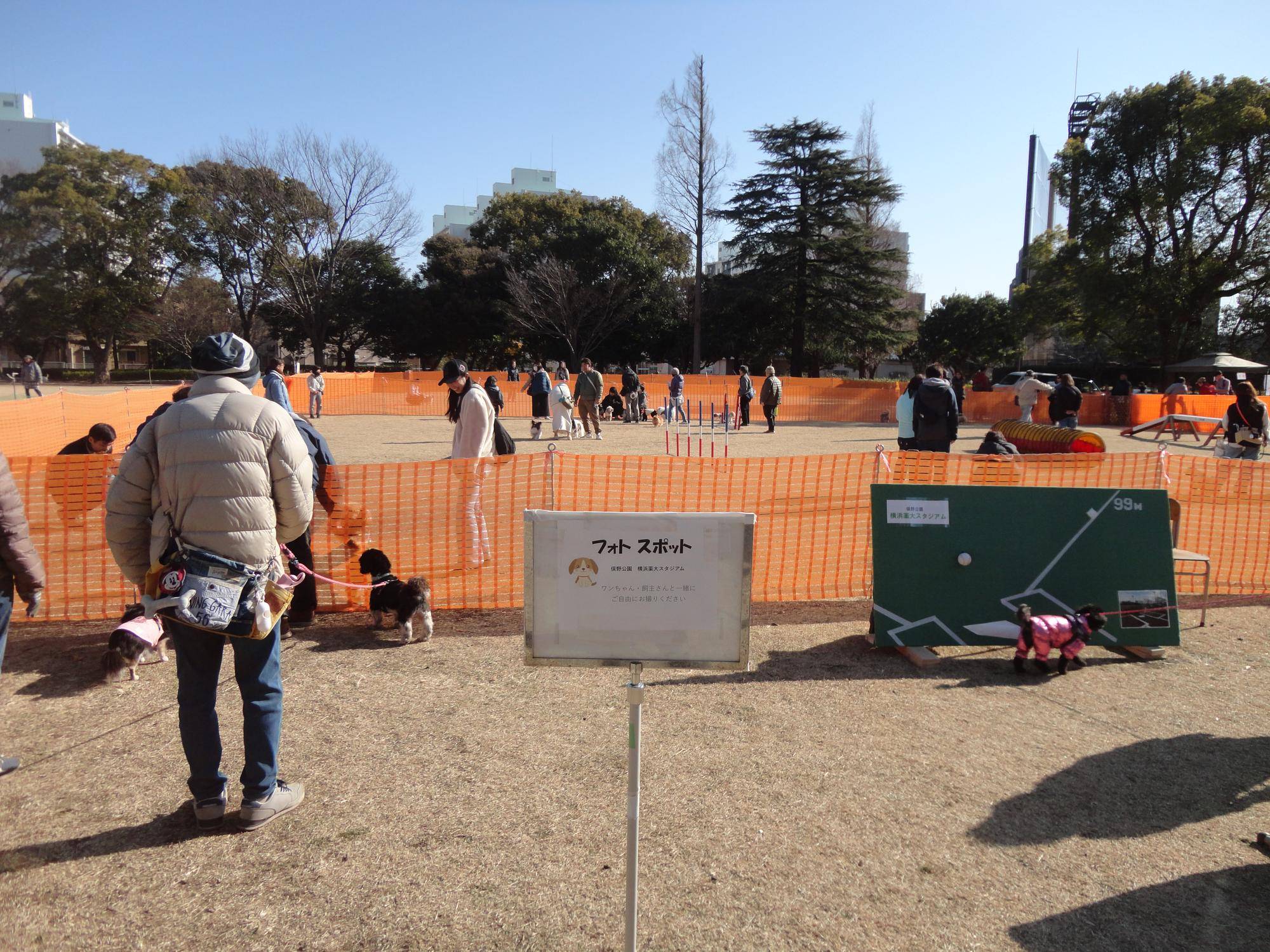 ６９頭のワンちゃんが大集合しましたー！の写真