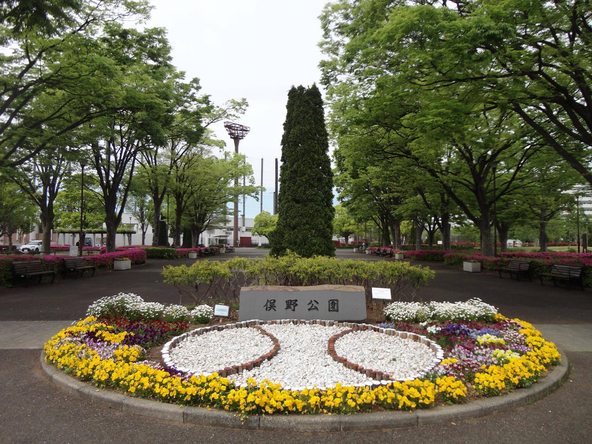 俣野公園の花や緑を現地でご覧ください。の写真