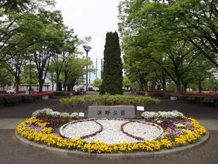 俣野公園の花や緑を現地でご覧ください。