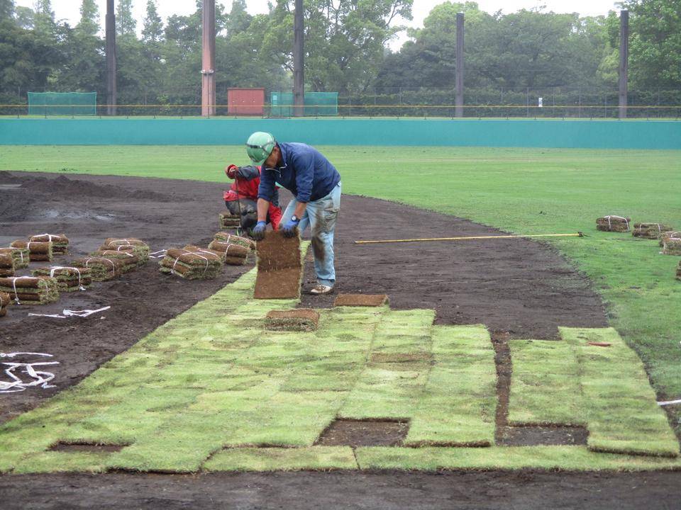 ②芝植え付け.jpg