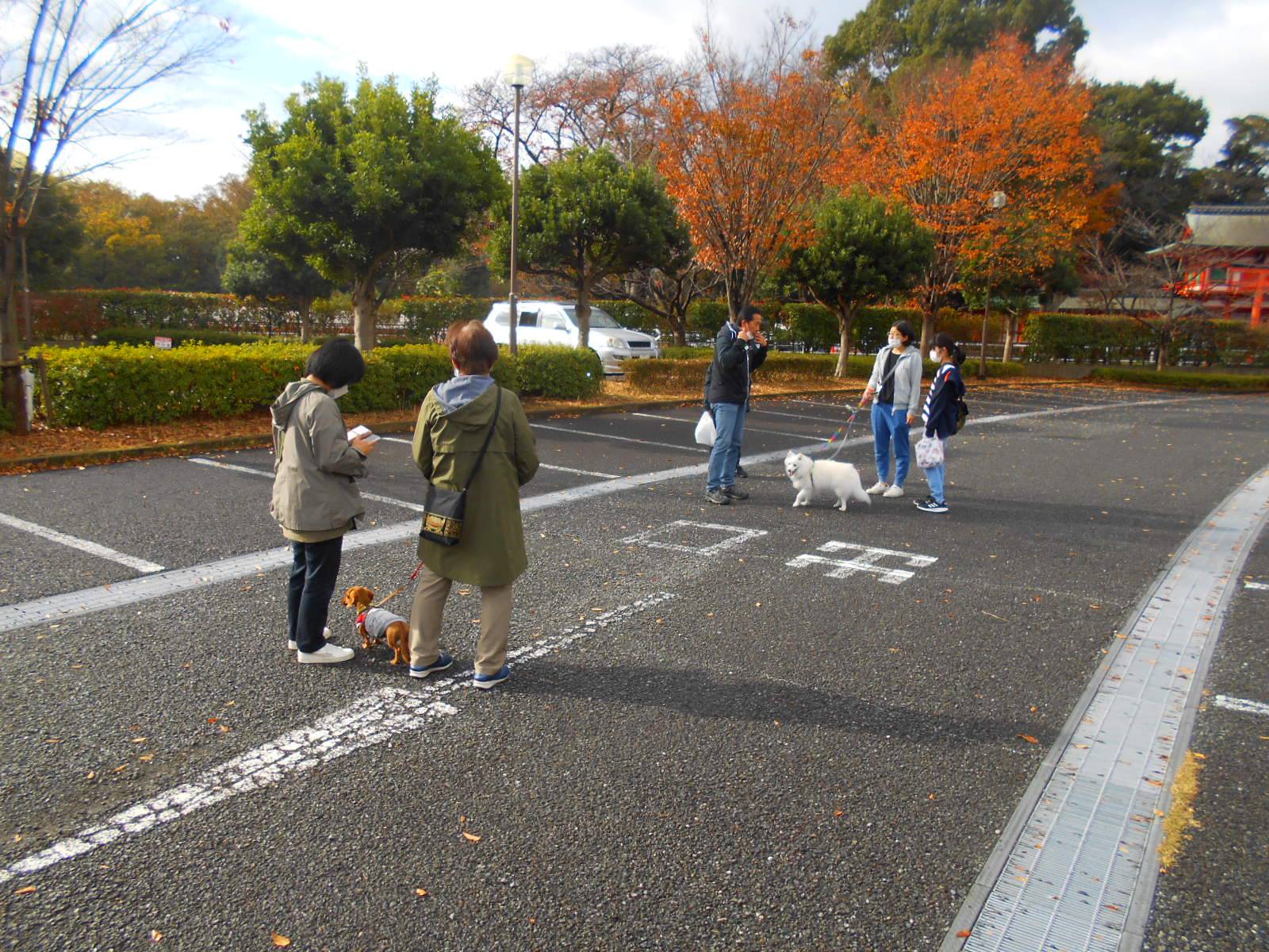 愛犬とごあいあつ .jpg