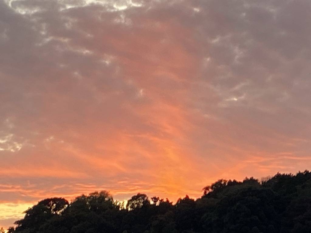ピンクの夕日.jpeg