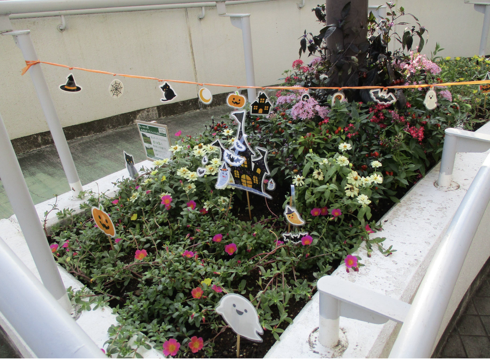 1_kawa_hallowinスロープ花壇.png