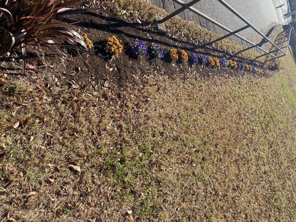 4_2022_12月ビオラバス停花壇.jpeg