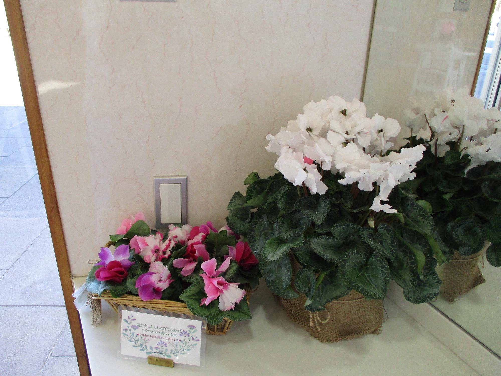 メモリアル洗面台シクラメン.jpg