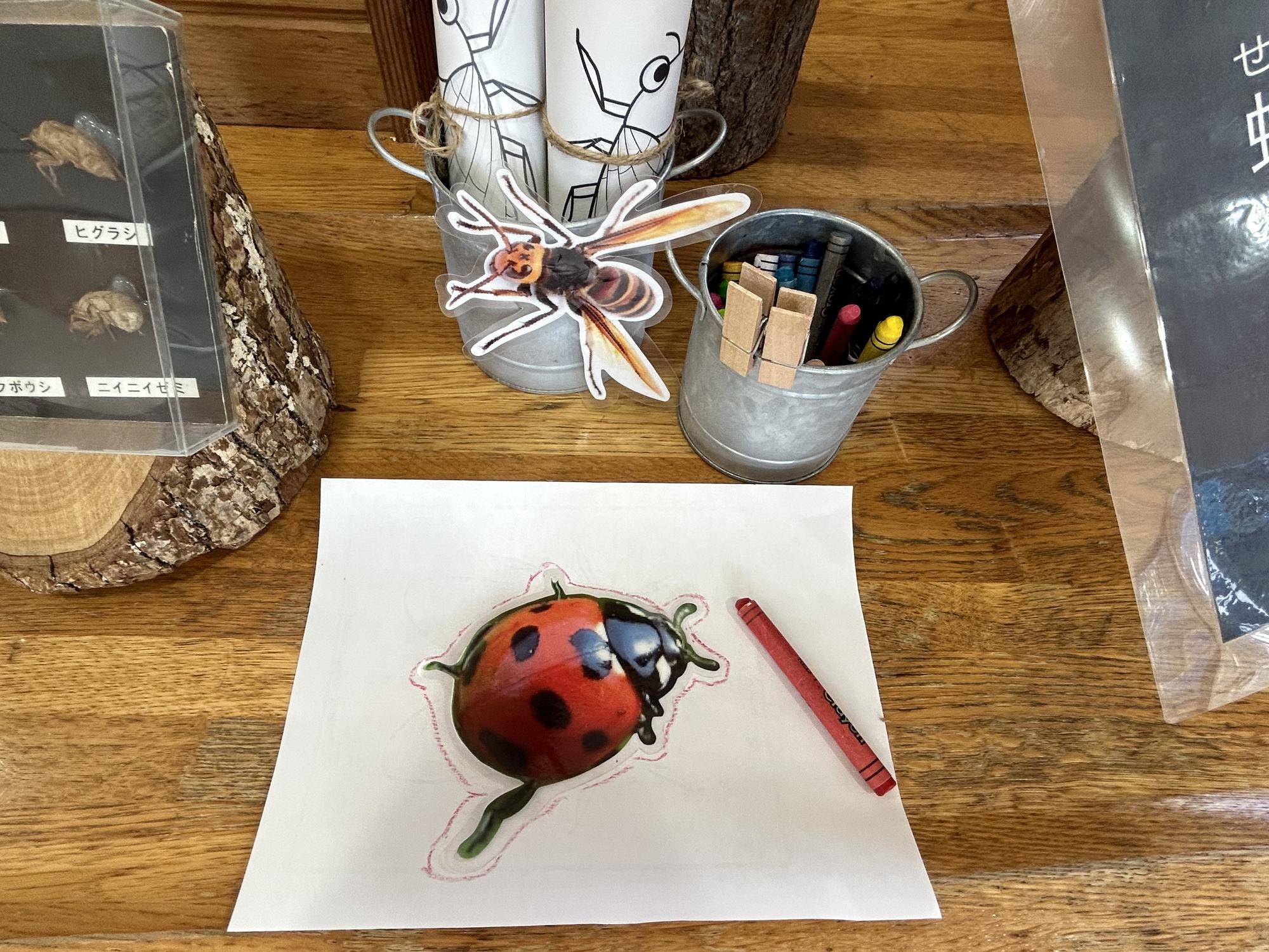 テントウムシぬりえ.jpeg