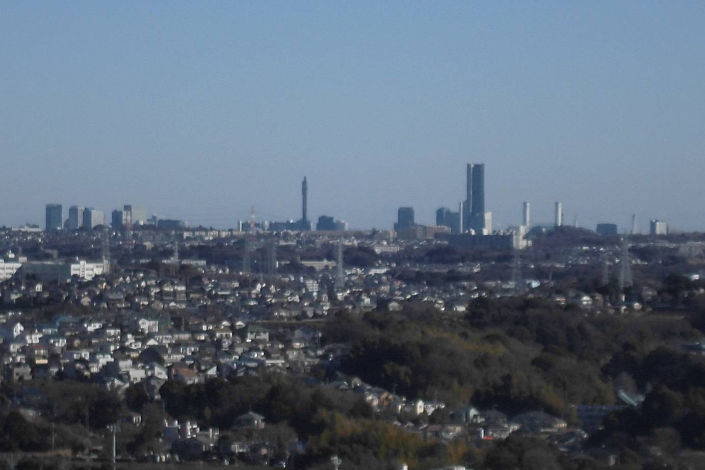 CIMG5694.jpg