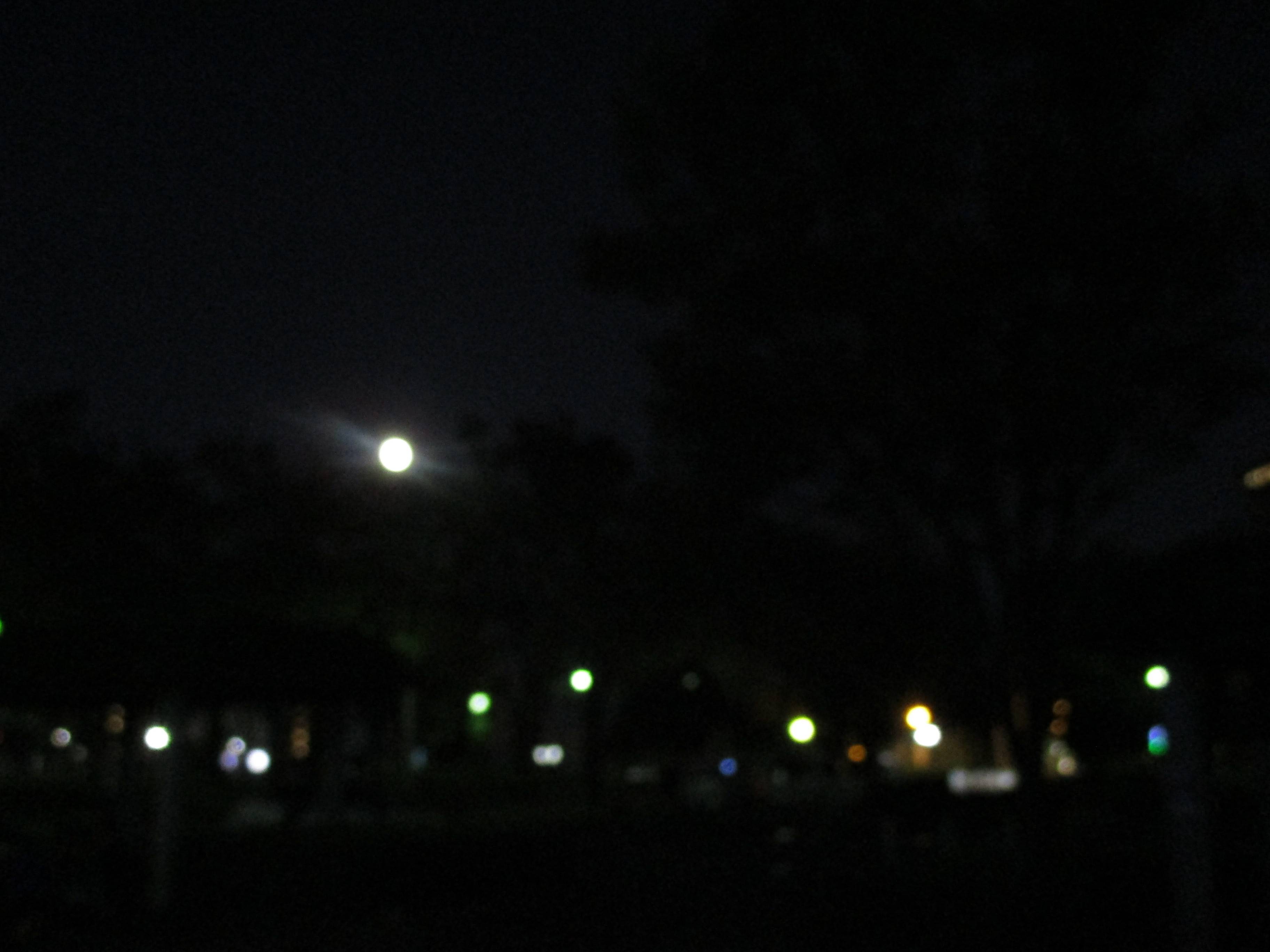 IMG_4374.jpg