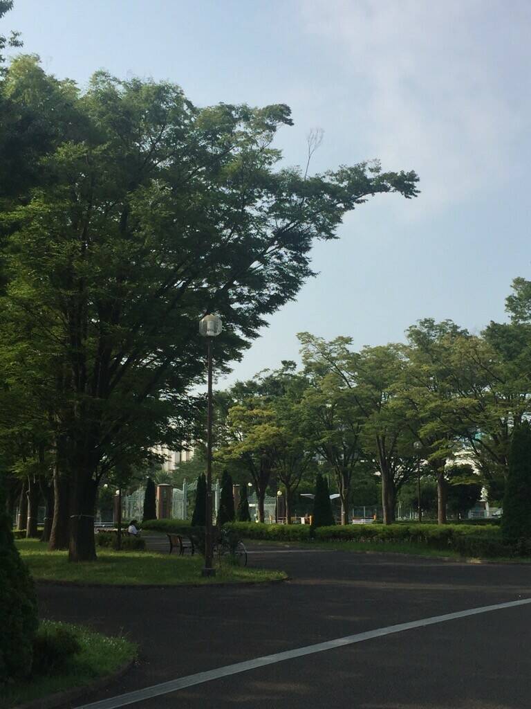 木陰でゆったり ブログ 俣野公園公式サイト 公益財団法人 横浜市緑の協会 木陰でゆったり ブログ 俣野公園公式サイト 公益財団法人 横浜市緑の協会