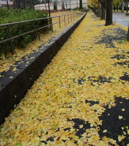 スクリーンショット 2021-12-12 131113.jpg