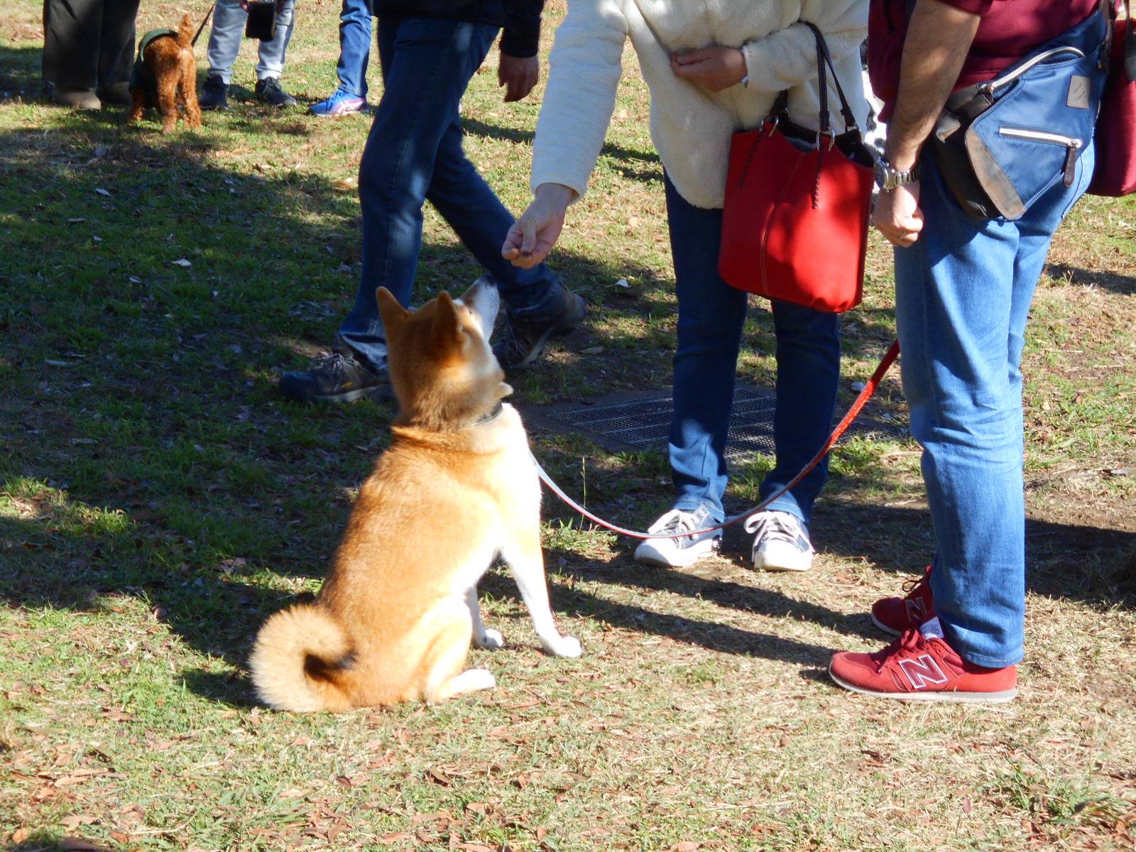 DSCN9562.jpg