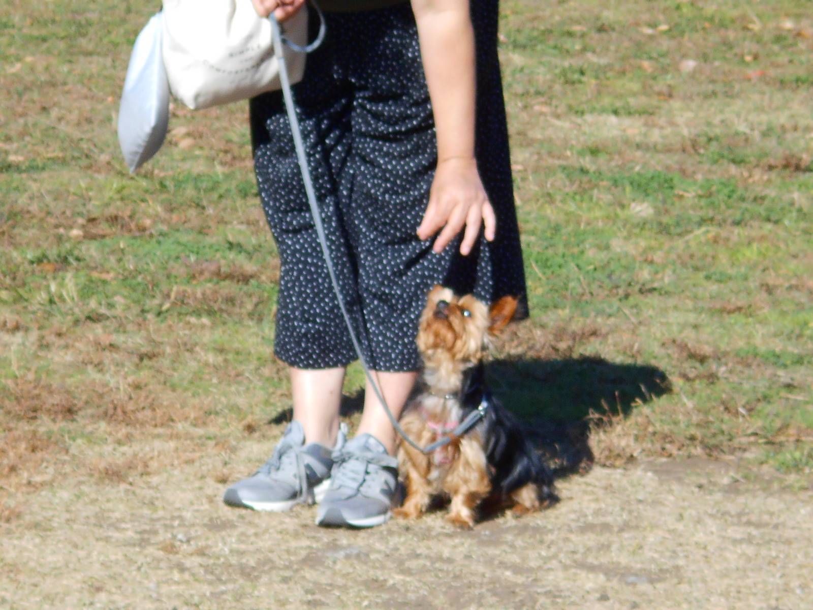 DSCN9578.jpg