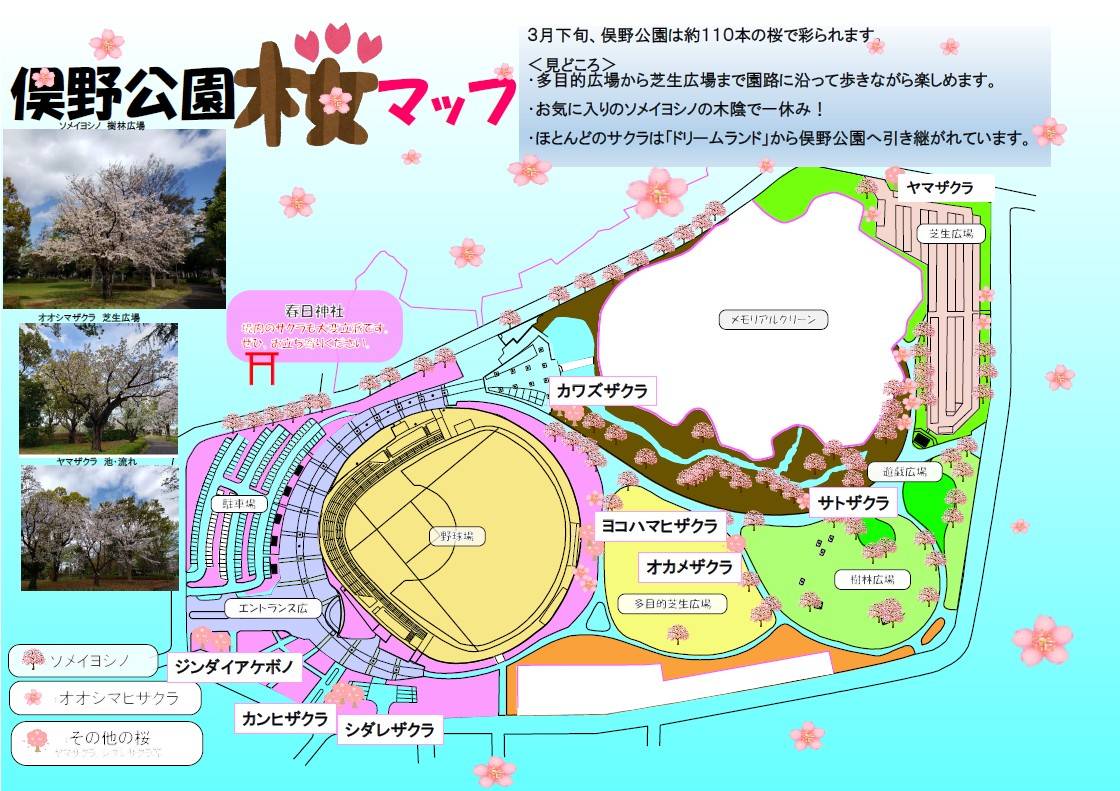 俣野公園サクラMap.jpg
