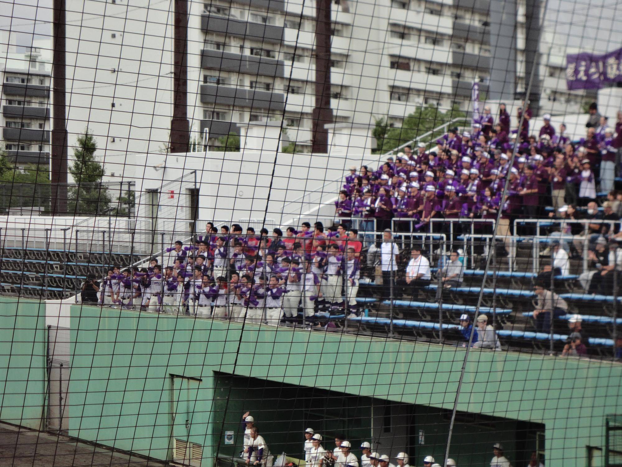 DSC02406.jpg