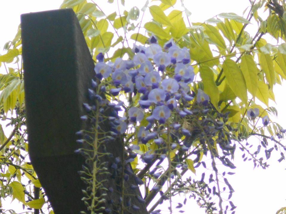 DSCN2257.jpg