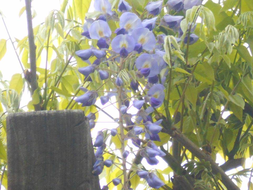 DSCN2258.jpg
