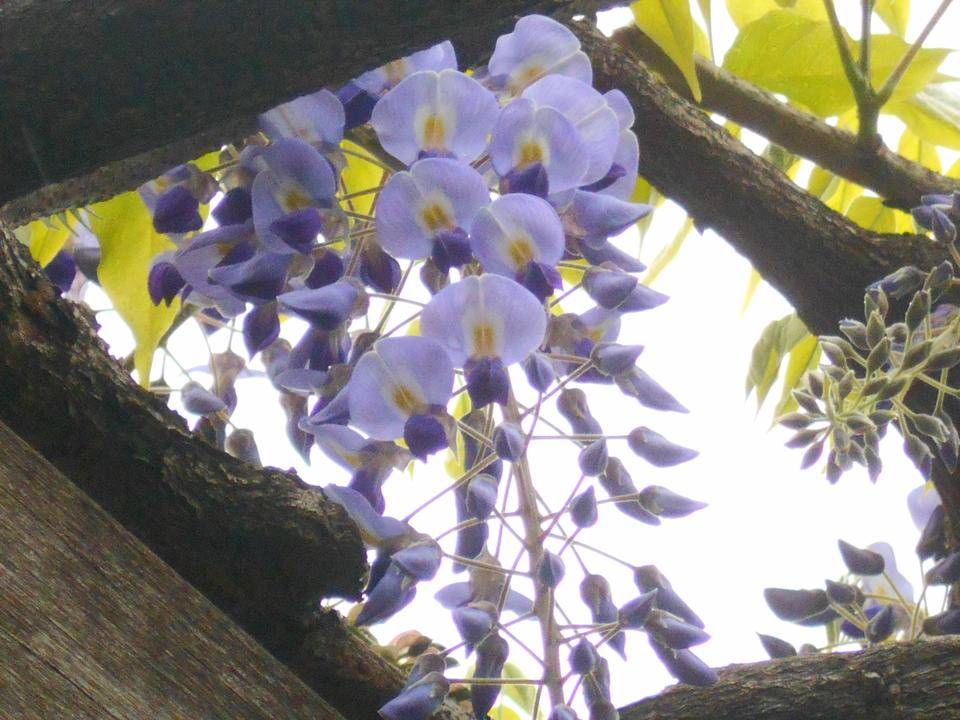 DSCN2260.jpg