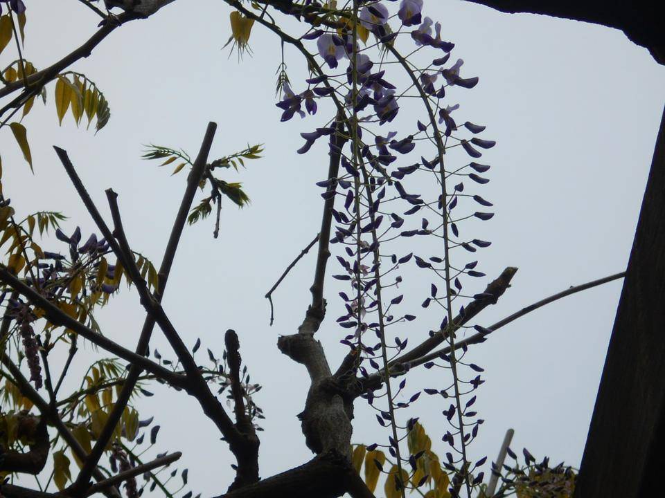 DSCN2261.jpg