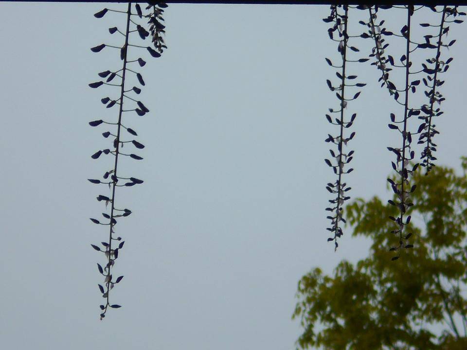 DSCN2262.jpg