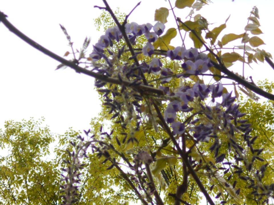 DSCN2263.jpg
