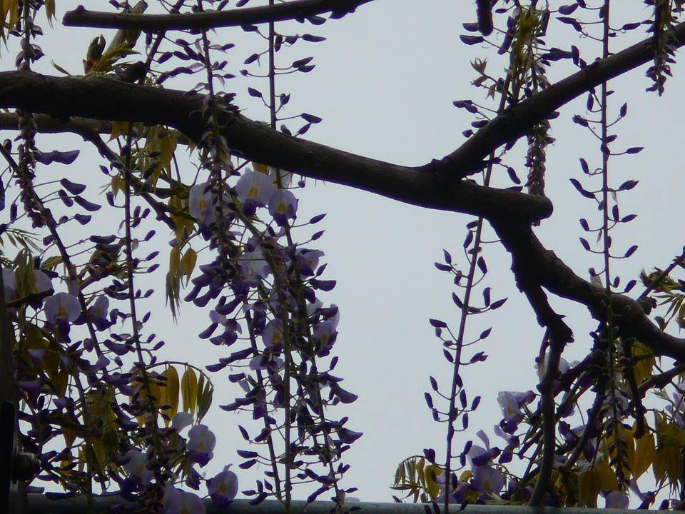 DSCN2265.jpg