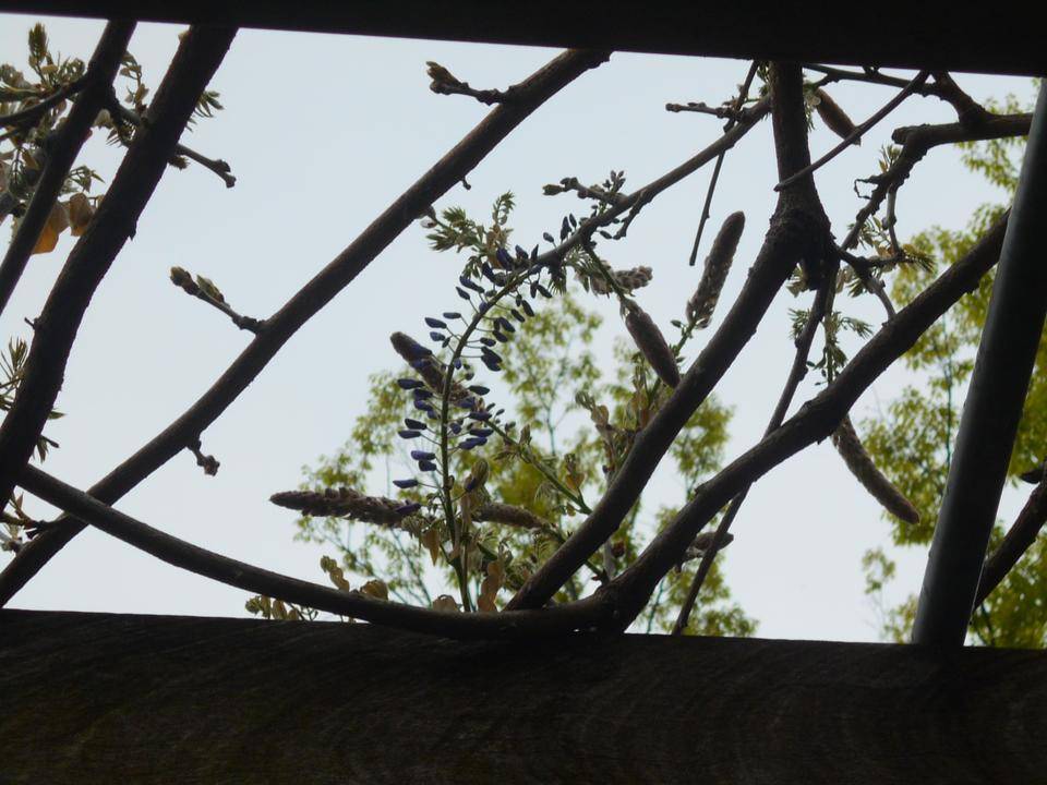 DSCN2269.jpg