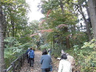 「ぷち・ぶらスペシャルーⅡ」