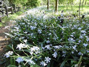 「春の第2ステージ」
