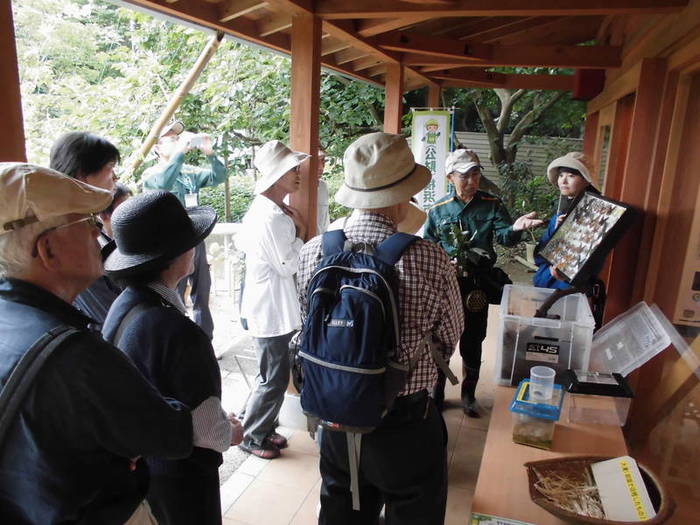 3 昆虫飼育箱や標本による解説 .jpg