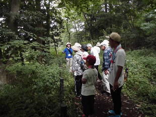 ぷち・ぶら 夏休みスペシャル-Ⅱ
