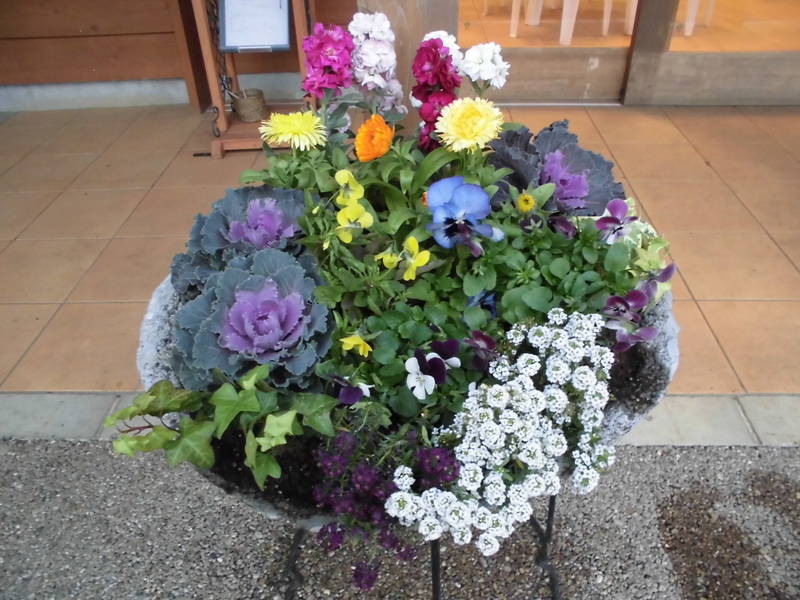寄せ植えづくりの写真