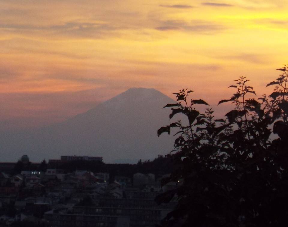 庭園から見る富士山の写真