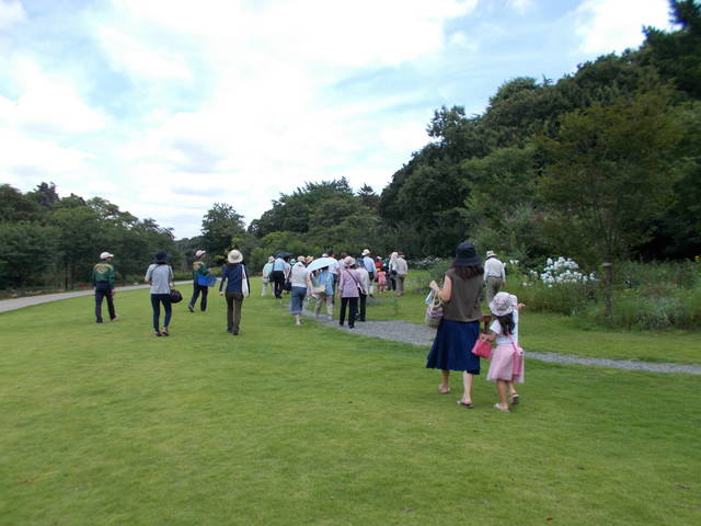 夏から秋のイベントいろいろの写真