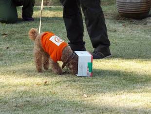 イベントいろいろ（秋編）