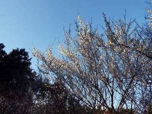 今週のスポットライト