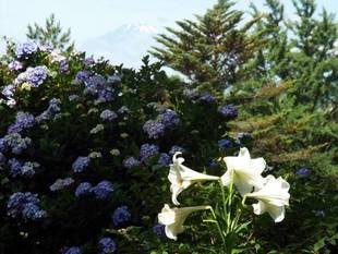 くつろぎの別邸（１）