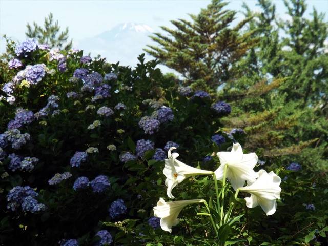 くつろぎの別邸(1)の写真