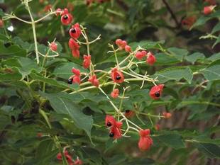 夏期時間延長が終了